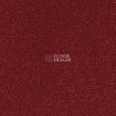 Ковролин Radici Forum Rubino 2132 фото 1 | FLOORDEALER